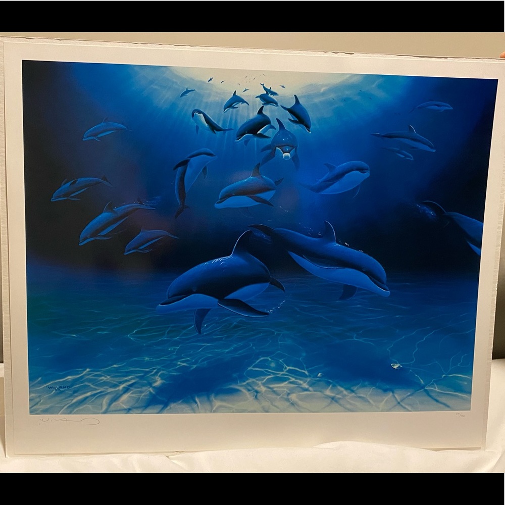 Original Wyland Picture Art